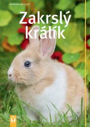 Zakrslý králík - Monika Wegler - Chovatelství Zakrslý králík