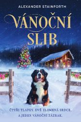 Vánoční slib Vánoční slib
