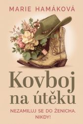 Kovboj na útěku