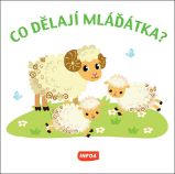 Co dělají mláďátka? - Dětské knížky poznávání zvířat Co dělají mláďátka?