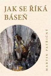 Jak se říká báseň - Martin Patřičný - Česká a slovenská poezie Jak se říká báseň