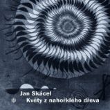 Květy z nahořklého dřeva Květy z nahořklého dřeva