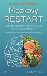 Mozkový restart Mozkový restart