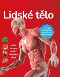 Lidské tělo - Jak to funguje uvnitř lidského těla? Lidské tělo - Jak to funguje uvnitř lidského těla?