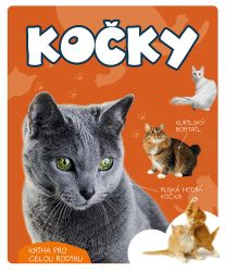 Kočky - Kniha pro celou rodinu - Marcin Jan Gorazdowski - Knihy o zvířatech pro děti Kočky