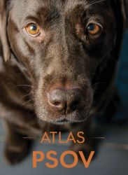 Atlas psov - Izabela Przeczek - Slovenská literatura Atlas psov