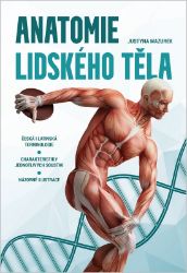 Anatomie lidského těla - Justyna Mazurek - Medicína a lékařství Lidské tělo