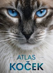 Atlas koček - neznámý - Kočky Atlas koček