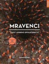 Mravenci - Život lesního společenství Mravenci - Život lesního společenství
