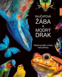 Rajčatová žába a modrý drak - Nejbarevnější zvířata naší planety - Andrea Köhrsen - Dětské Rajčatová žába a modrý drak - Nejbarevnější zvířata naší planety