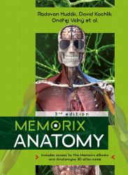 Memorix Anatomy - Entire human anatomy i Memorix Anatomy - Entire human anatomy i
