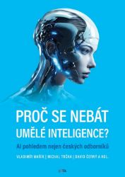Proč se nebát umělé inteligence? - Michal Trčka,Vladimír Mařík - Technika Proč se nebát umělé inteligence?