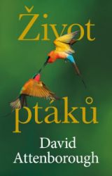 Život ptáků - David Attenborough - Životní prostředí a ekologie Život ptáků