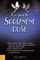 Co jsou to spřízněné duše - Sue Minns - Naučná literatura Co jsou to spřízněné duše