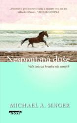 Nespoutaná duše - Vaše cesta za hranice vás samých Nespoutaná duše - Vaše cesta za hranice vás samých