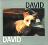 David - Jiří David - Dvojjazyčná literatura David