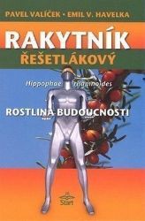 Rakytník řešetlákový - rostlina budoucnosti - Pavel Valíček - Zdraví, hubnutí a sport Rakytník řešetlákový - rostlina budoucnosti