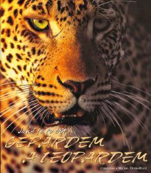 Jaké je to být Gepardem a Leopardem Jaké je to být Gepardem a Leopardem