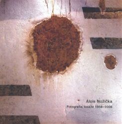 Alois Nožička - Radim Kopáč,Jan Suk,Jiří Gold - Umění a architektura Alois Nožička