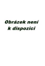 Hlazení duše (v anglickém jazyce) - Václav Budinský - Současná beletrie v angličtině Hlazení duše (v anglickém jazyce)