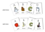 Comenia Pictures Cards - Radana Lencová - Učebnice angličtiny Comenia Pictures Cards