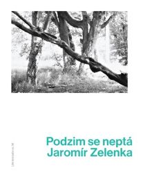 Podzim se neptá - Jaromír Zelenka - Poezie a básně Podzim se neptá