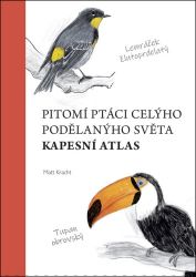 Pitomí ptáci celýho podělanýho světa - Matt Kracht - Humor a satira Pitomí ptáci celýho podělanýho světa