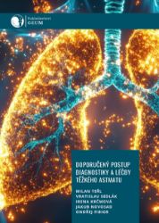 Doporučený postup diagnostiky a léčby těžkého astmatu - kolektiv autorů,Vratislav Sedlák,Irena Krčmová,Milan Teřl - Medicína a lékařství Doporučený postup diagnostiky a léčby těžkého astmatu