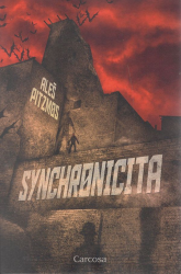 Synchronicita - Aleš Pitzmos - Horory Synchronicita