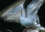 Mezi dvěma světy - Nina Djakovičová - Umění a architektura Mezi dvěma světy