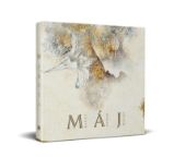 Máj - Karel Hynek Mácha - Česká a slovenská poezie Máj