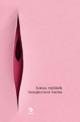 Bezejmenná touha - Honza Vojtíšek - Česká a slovenská beletrie Bezejmenná touha