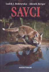 Savci Savci