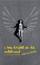 I bez křídel se dá vzlétnout - Oldřich Bubák - Poezie a básně I bez křídel se dá vzlétnout