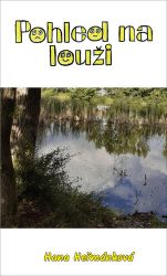 Pohled na louži - Hana Heřmánková - Česká a slovenská beletrie Pohled na louži