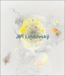 Jiří Lindovský - Jiří Valoch,Hana Larvová,Ondřej Zatloukal,Marián Mudroch,Jiří Hůla,Barbora Kundračíková - Osobnosti umění Jiří Lindovský