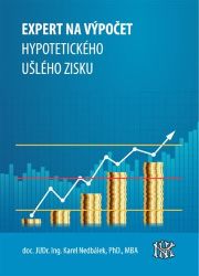 Expert na ušlý zisk, hypotetický zisk a újmu