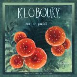 Klobouky, kam se podíváš - Ditta Kůtová - Populárně naučná literatura pro děti Klobouky, kam se podíváš