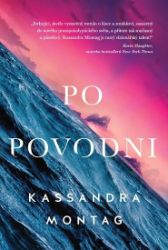 Po povodni - Kassandra Montag - Světová sci-fi Po povodni