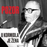 Pozor u kormidla je žena - Miroslav Moravec,Jiřina Bohdalová,Miloš Kopecký,Jaroslava Adamová,Luděk Munzar,František Filipovský - Humor, satira a komedie Pozor u kormidla je žena