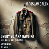 Osudy vojáka Havlíka aneb Válčili jsme za Husáka