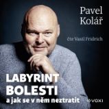 Labyrint bolesti - Pavel Kolář - Psychologie Labyrint bolesti