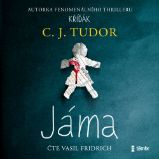 Jáma - C. J. Tudor - Detektivky, thrillery Jáma