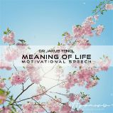 Meaning of Life Meaning of Life