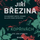 V kopřivách V kopřivách