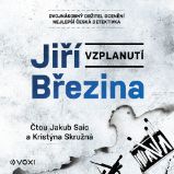 Vzplanutí - Jiří Březina - Detektivky, thrillery Vzplanutí