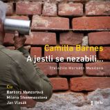 A jestli se nezabili… A jestli se nezabili…