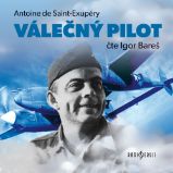 Válečný pilot Válečný pilot