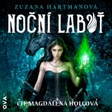 Noční labuť