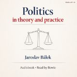 Politics in theory and practice